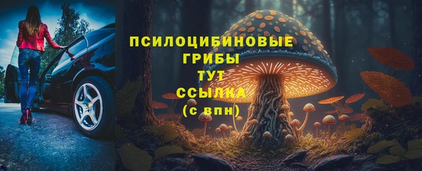 прущий лед Алексин